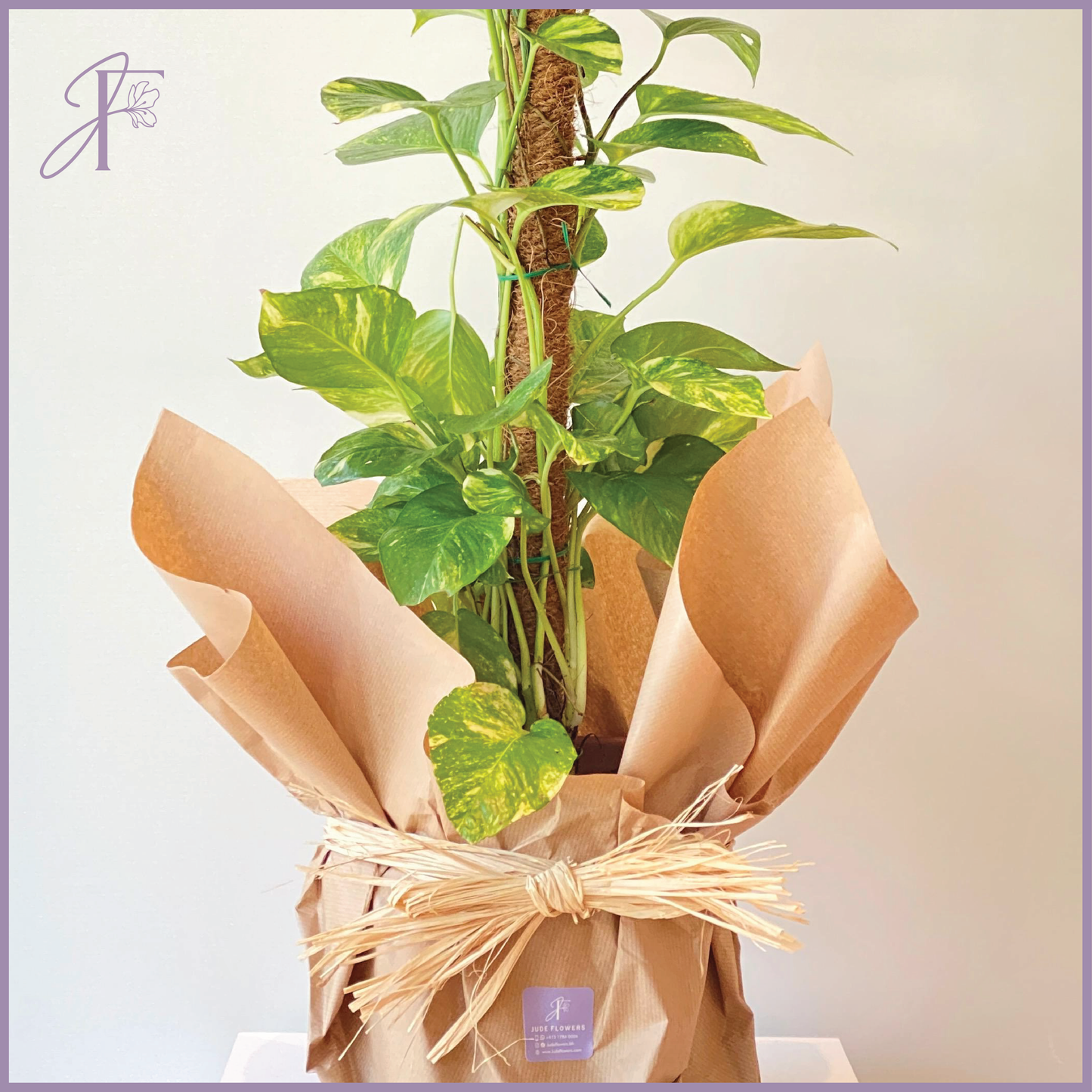 Flowers, delivered in Bahrain
