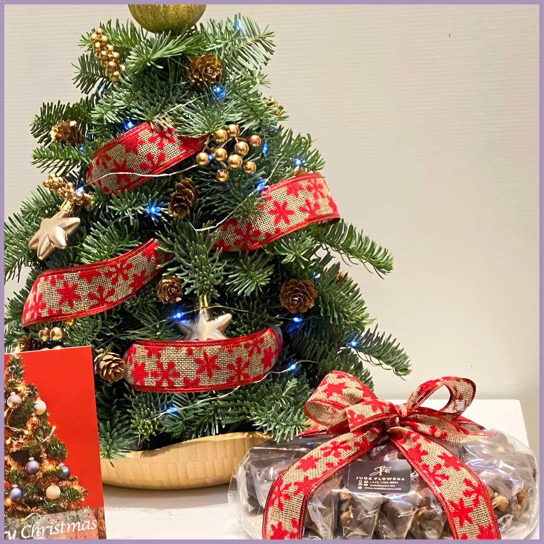 Festive Tree & Belgian Chocolates Gift Set by Jude Flowers