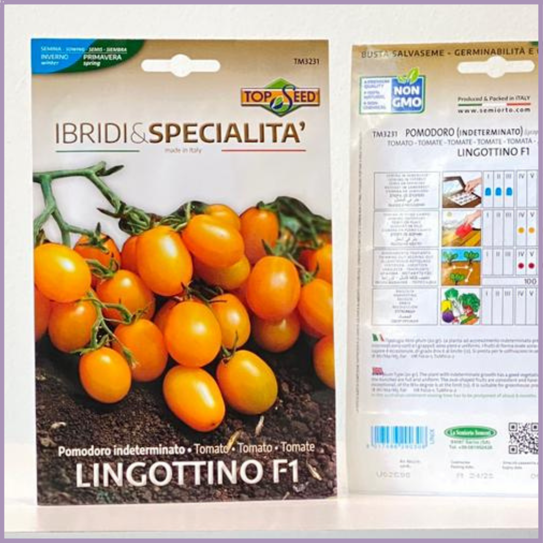 Lingottino F1 Yellow Cherry Tomato Seeds (1 Pack)