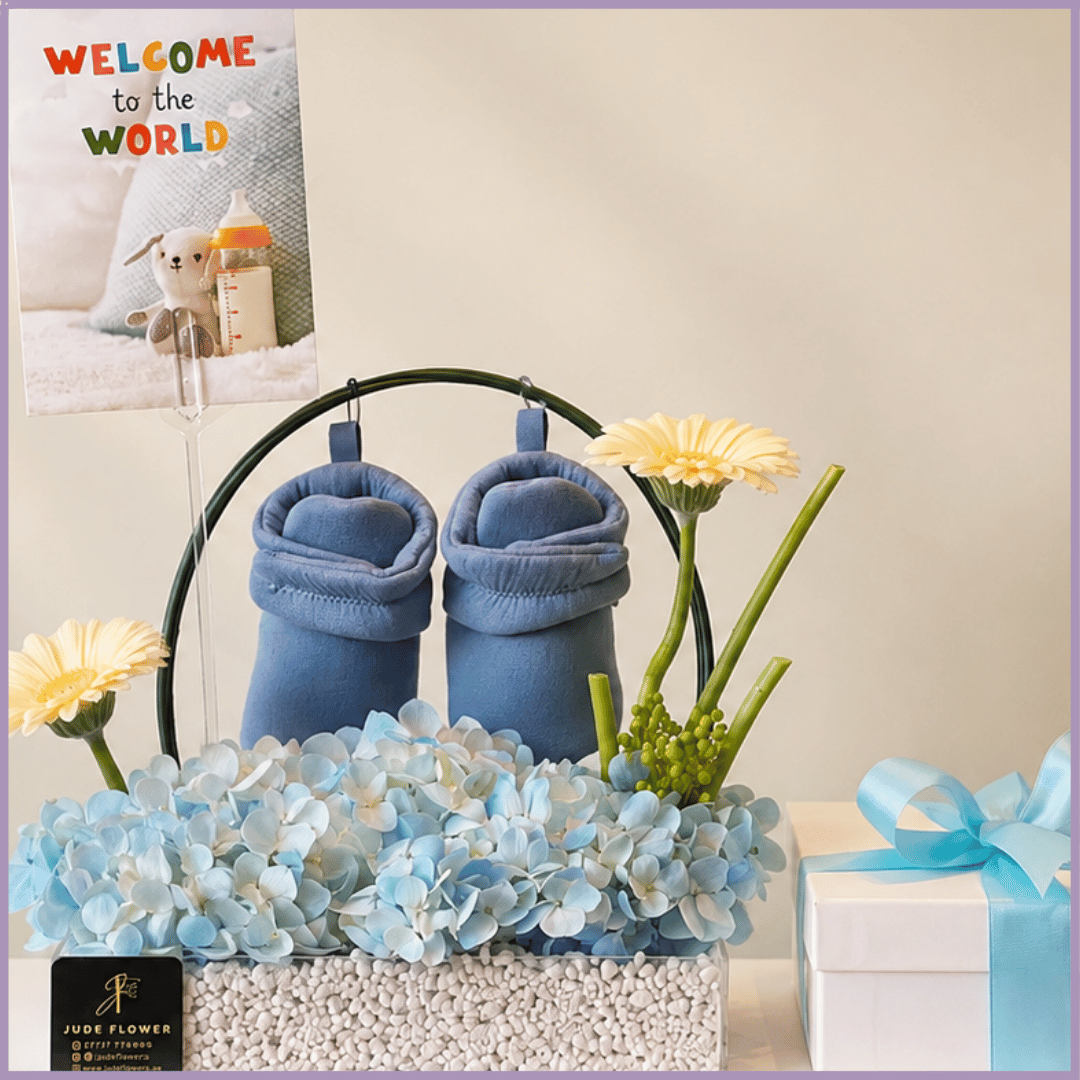 Little Prince Welcome Gift
