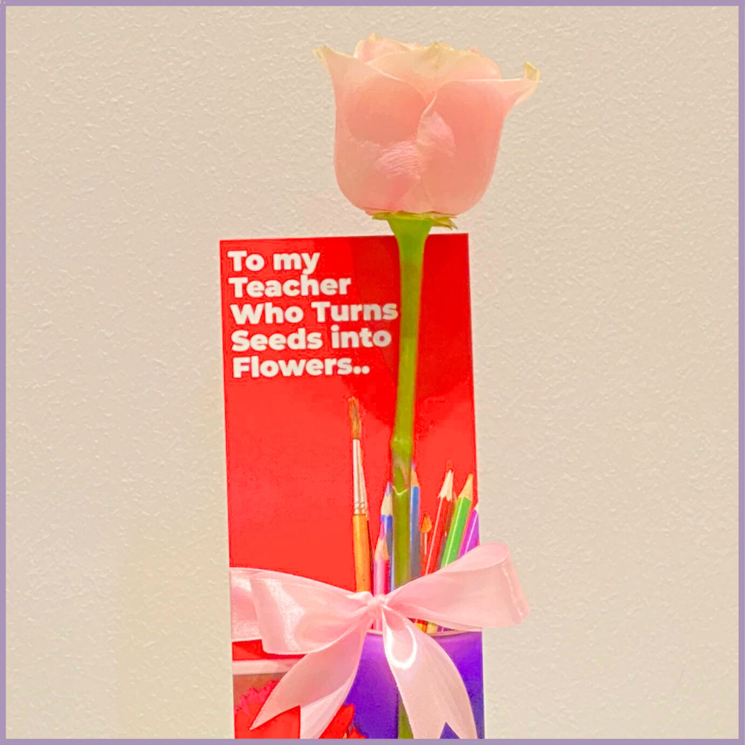 Pink Rose Teacher’s Day Appreciation Gift