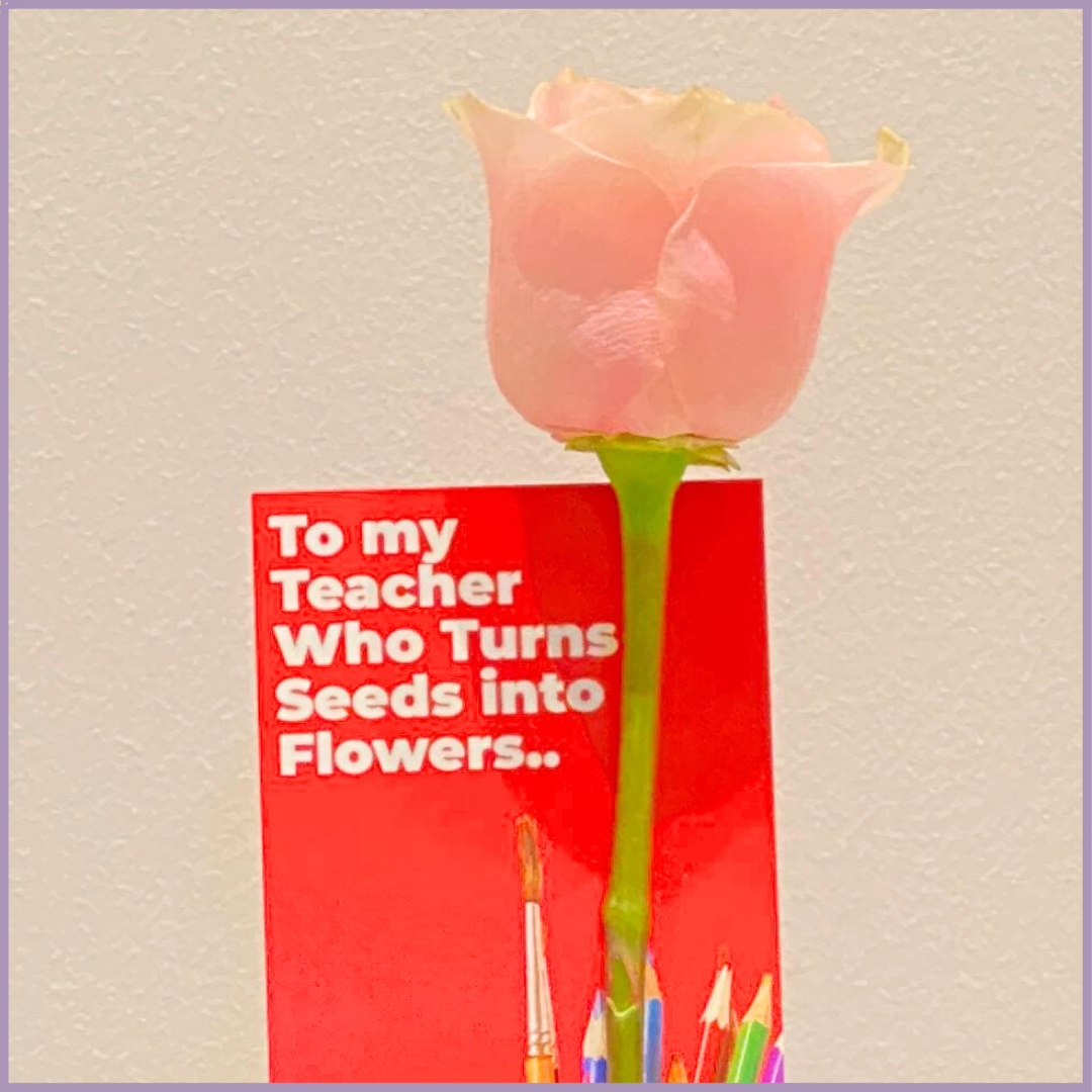 Pink Rose Teacher’s Day Appreciation Gift