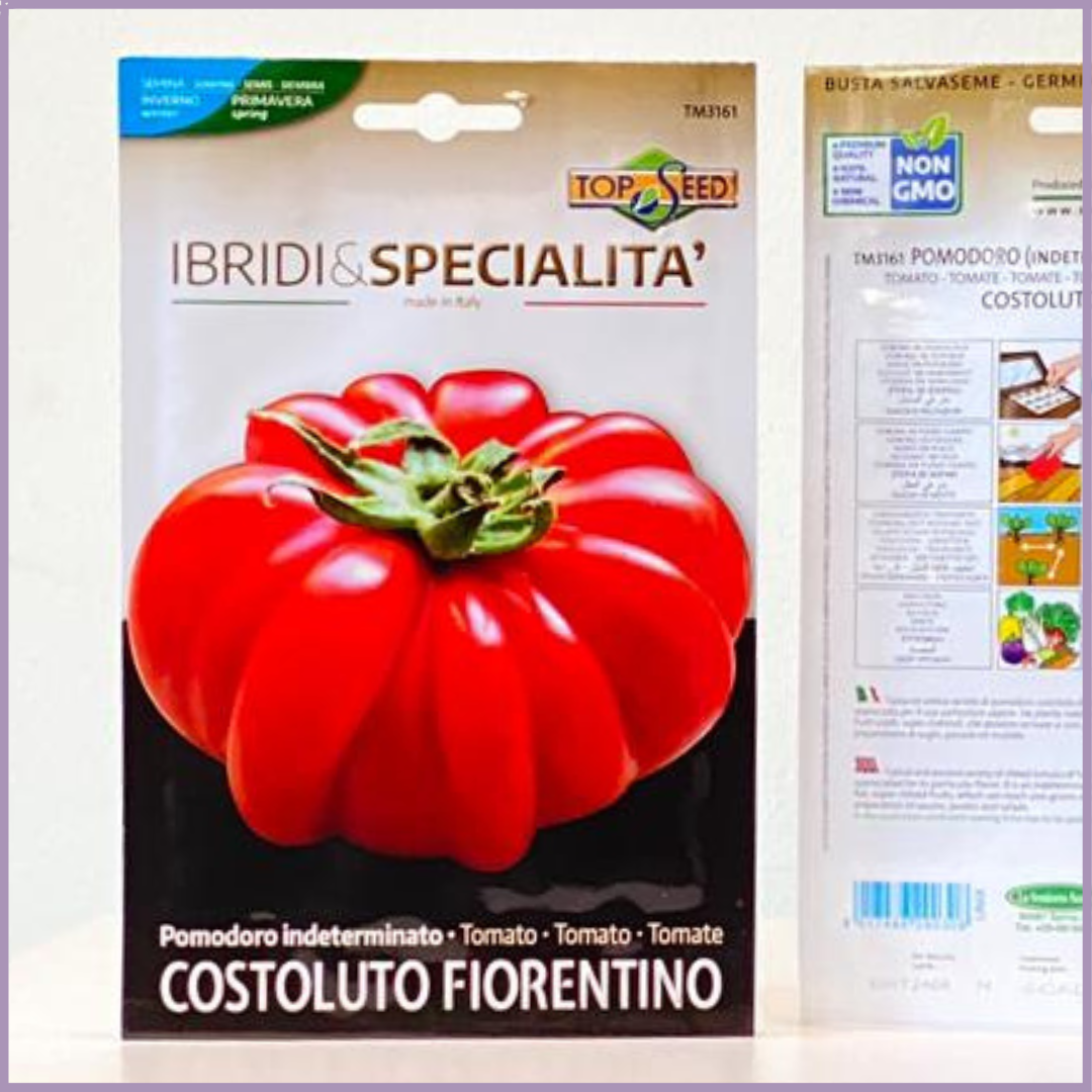 Costoluto Fiorentino Tomato Seeds (1 Pack) - Ideal for Bahrain Gardening