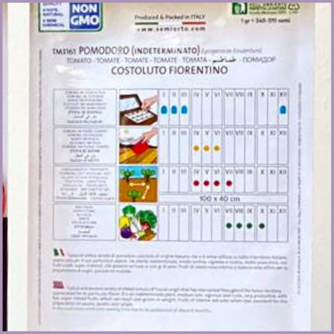 Costoluto Fiorentino Tomato Seeds (1 Pack) - Ideal for Bahrain Gardening