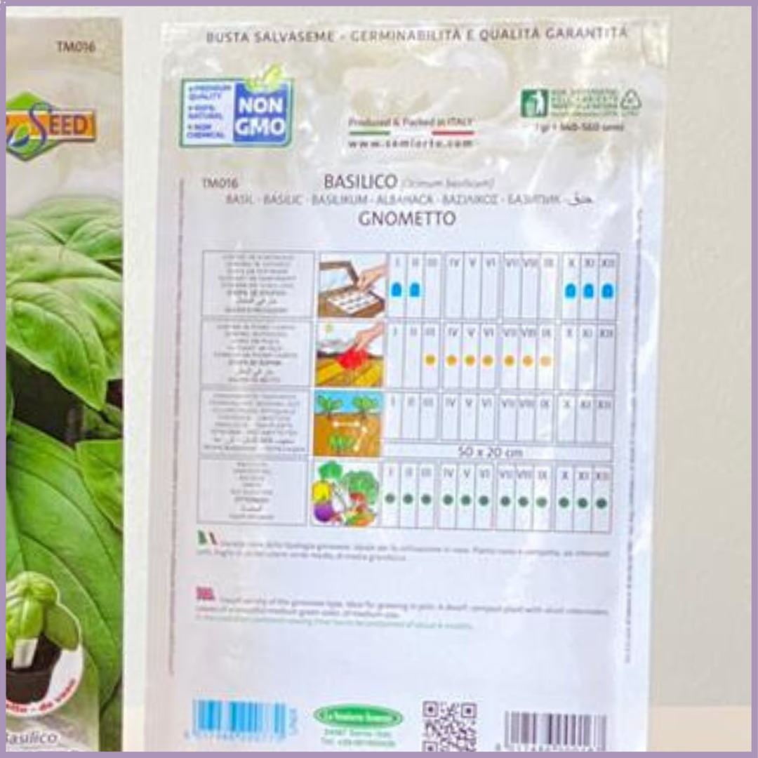 TOP SEED - Gnometto Basil Seeds (1 Pack)