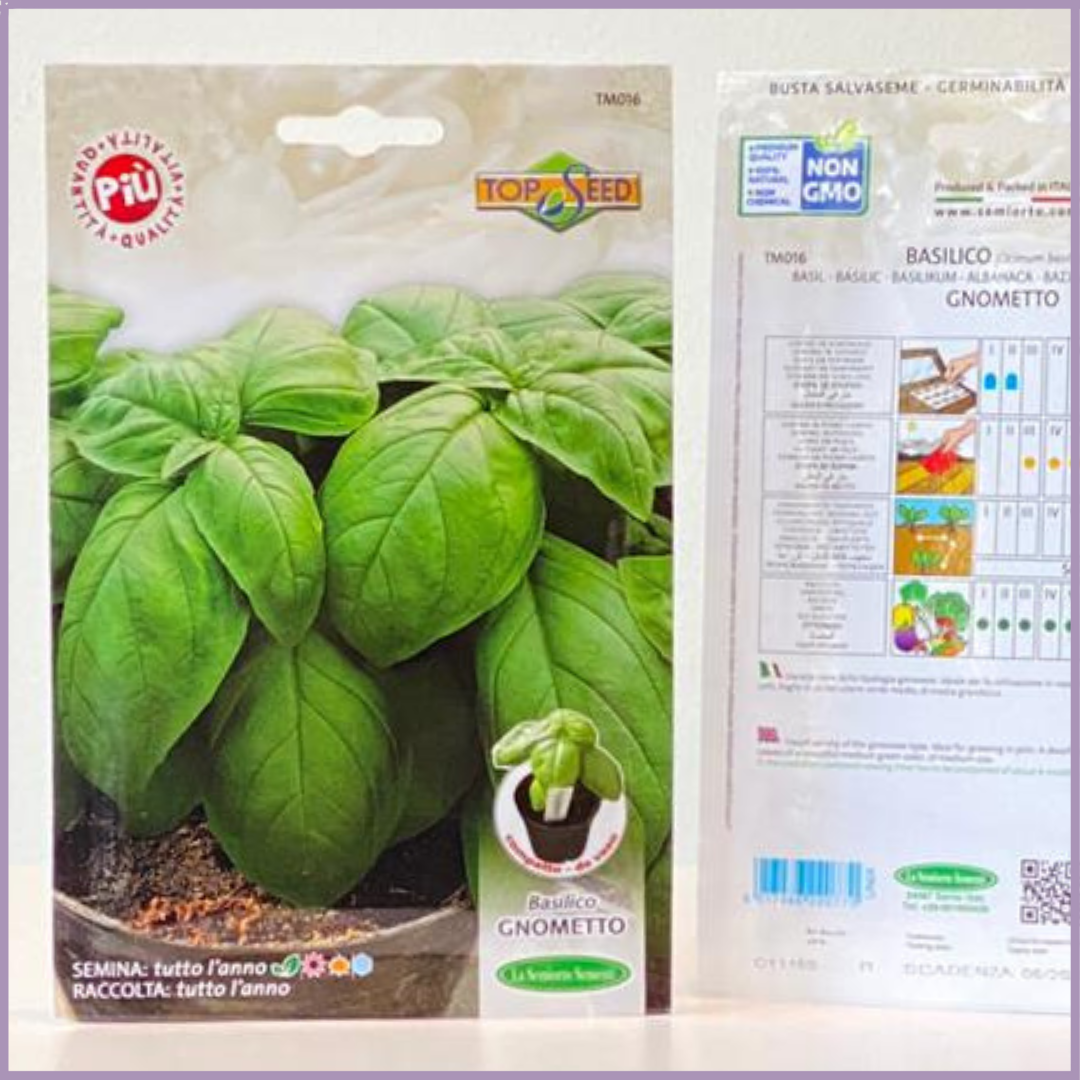 TOP SEED - Gnometto Basil Seeds (1 Pack)