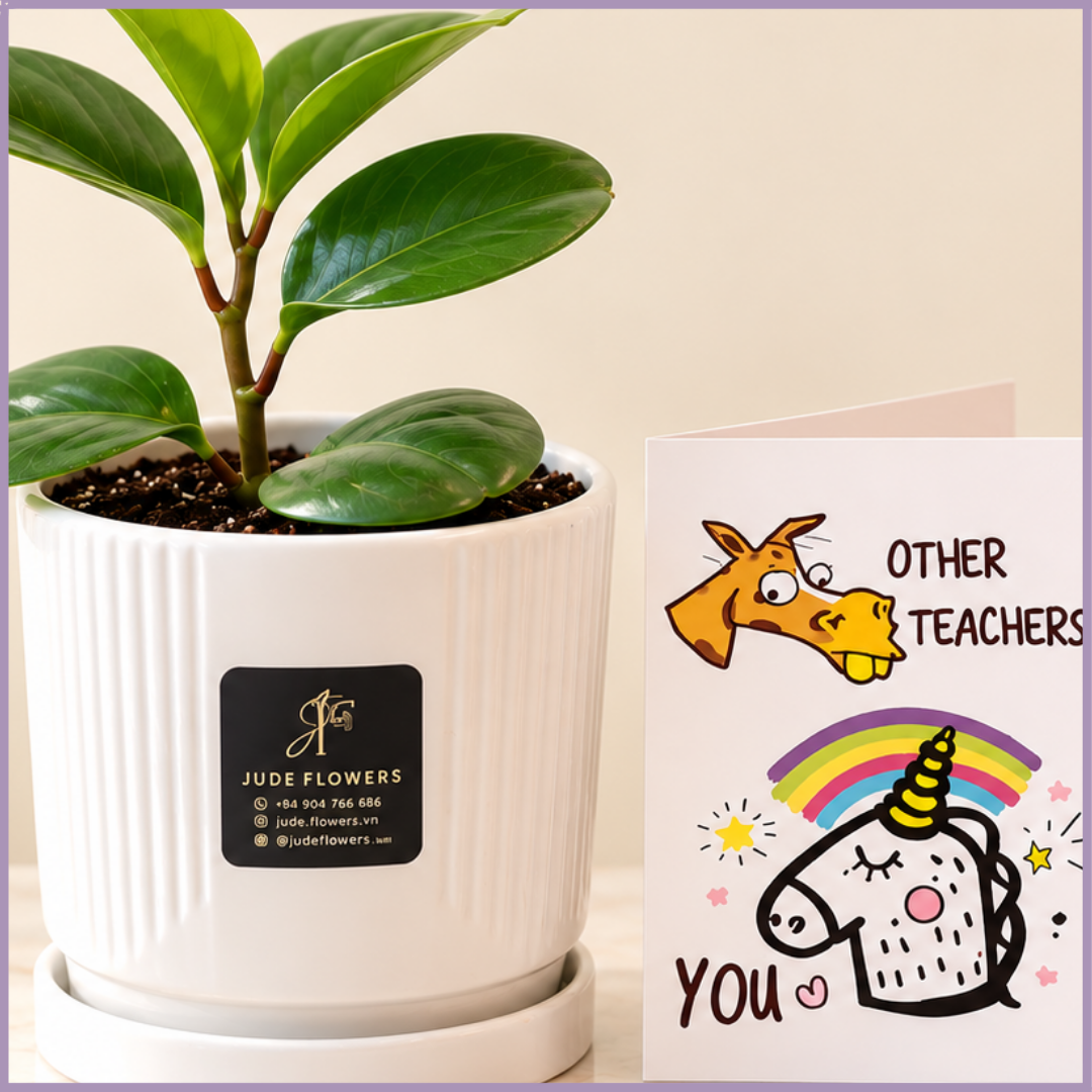 Teacher’s Little Green Thank You