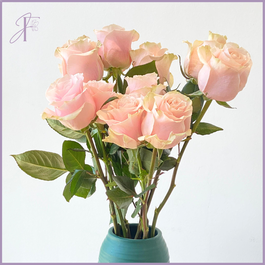 Blush Pink Rose Stem (Per 1 Stem, Create Your Own Arrangement, Vase not Included)