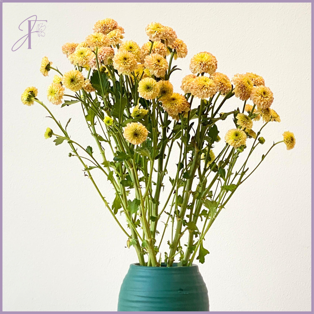 Brownish Button Mum Stem - Sold per 1 Stem - Create your Own Arrangement