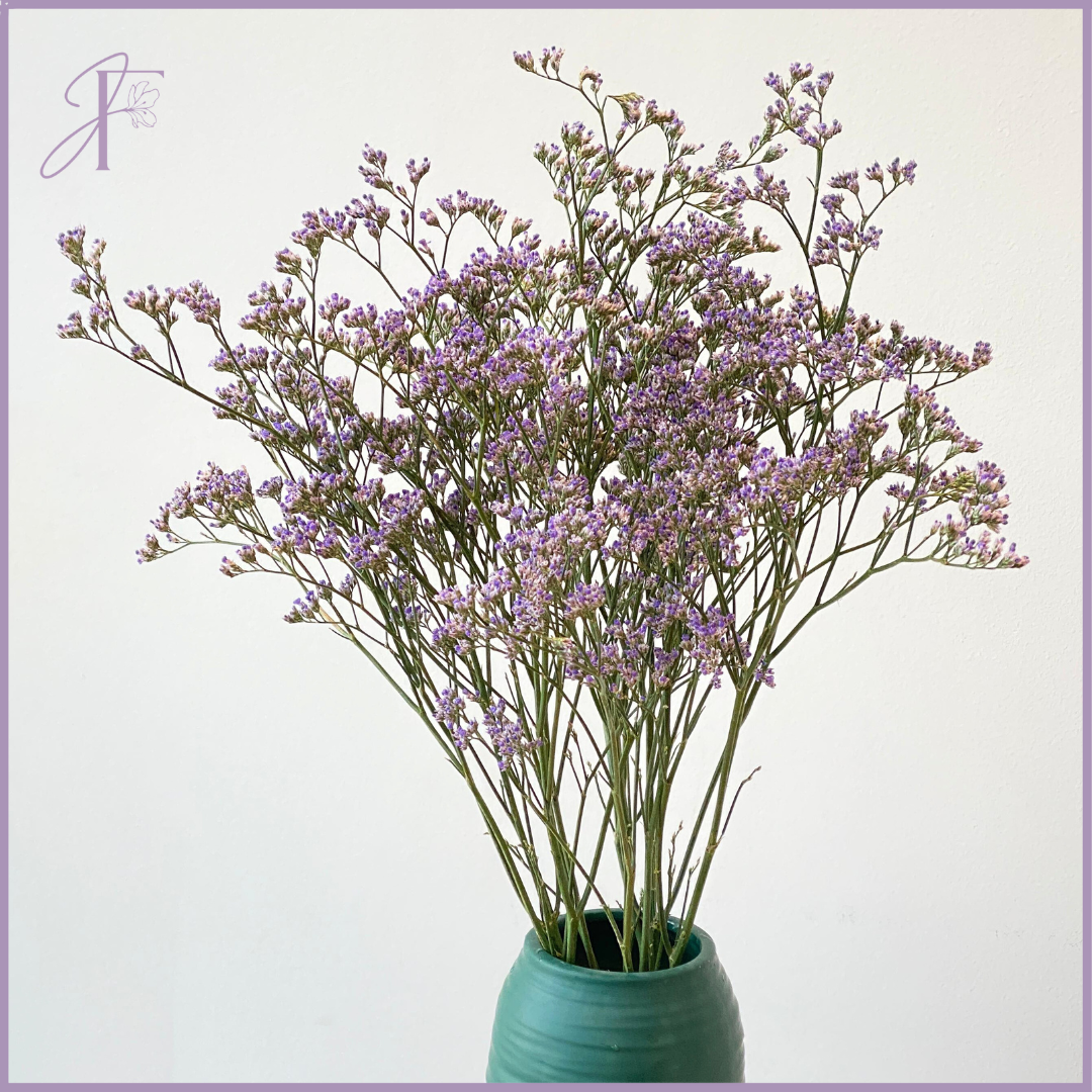 Fresh Blue Limonium Bunch (Per Bunch, Create Your Own Arrangement)
