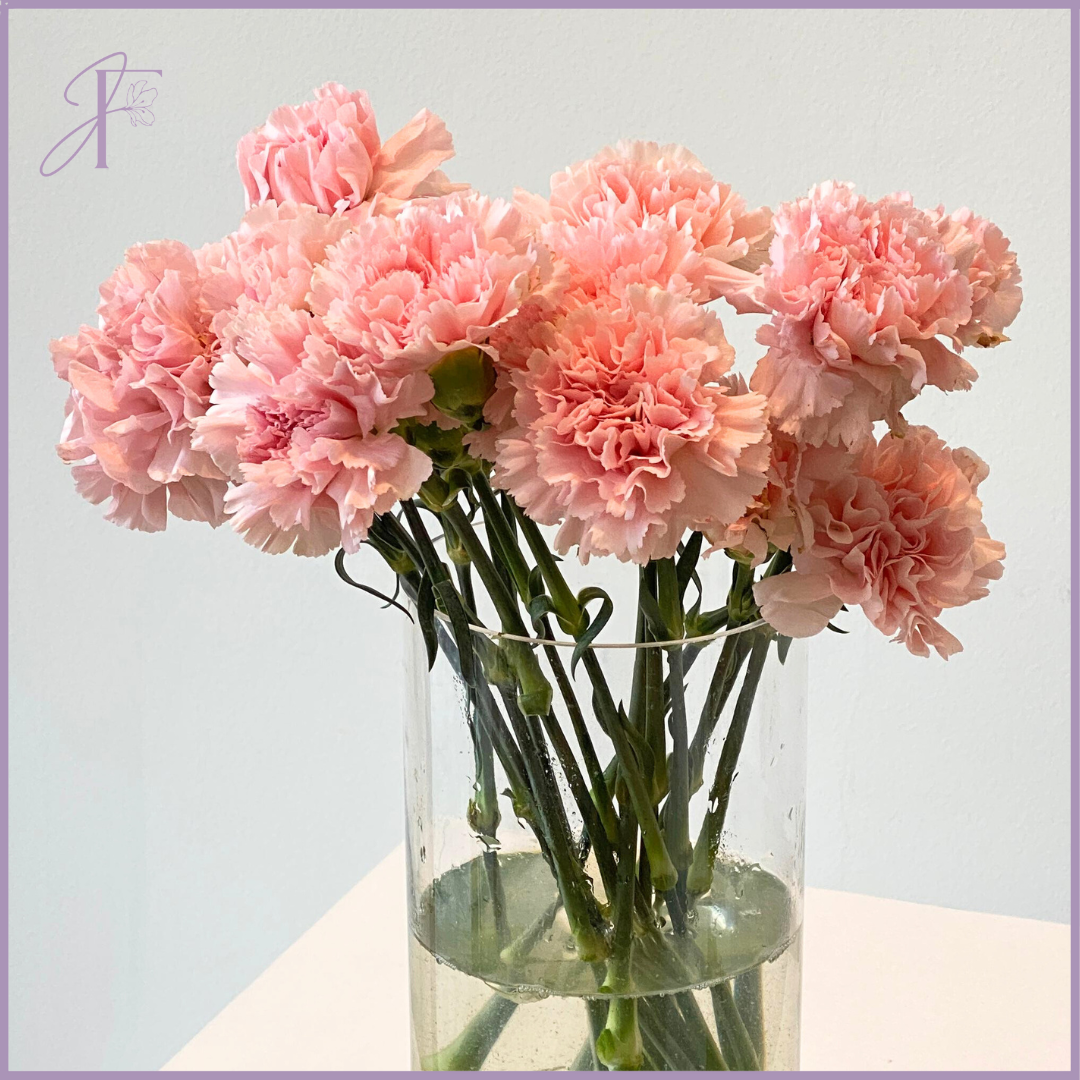 Fresh Pink Carnation Stems (Per Stem, Create Your Own Arrangement)