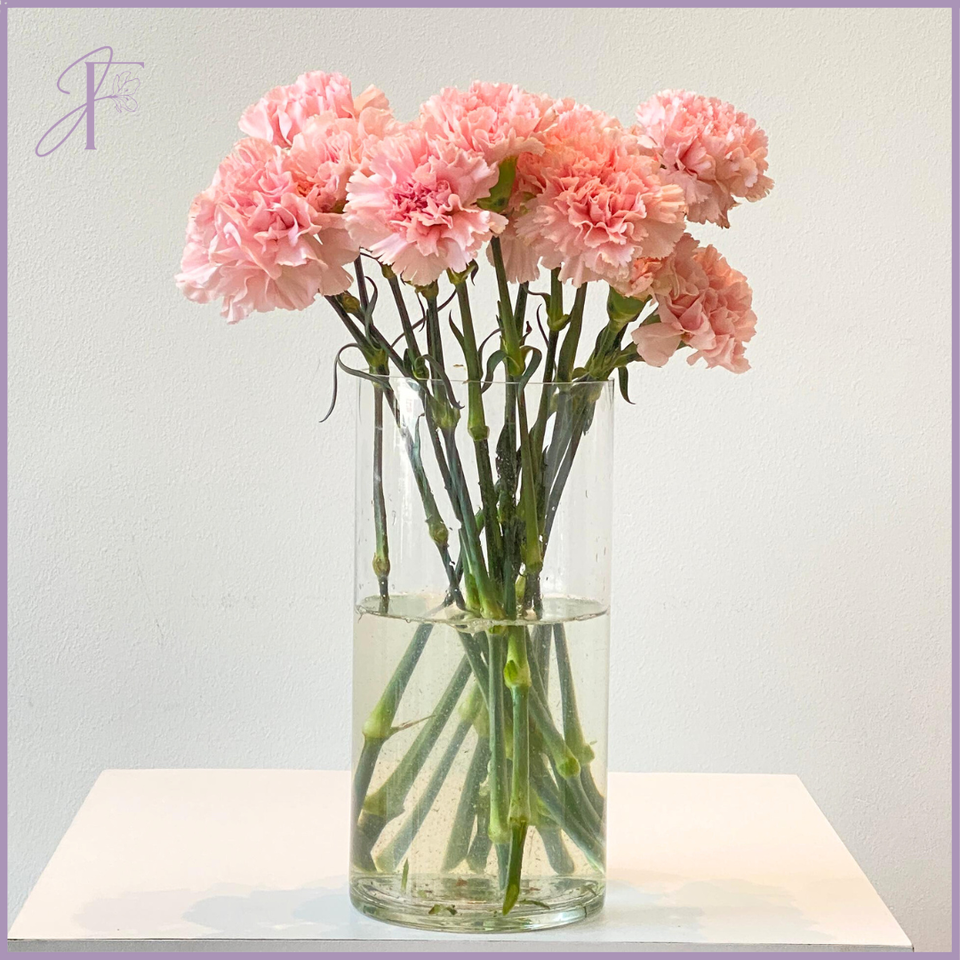 Fresh Pink Carnation Stems (Per Stem, Create Your Own Arrangement)