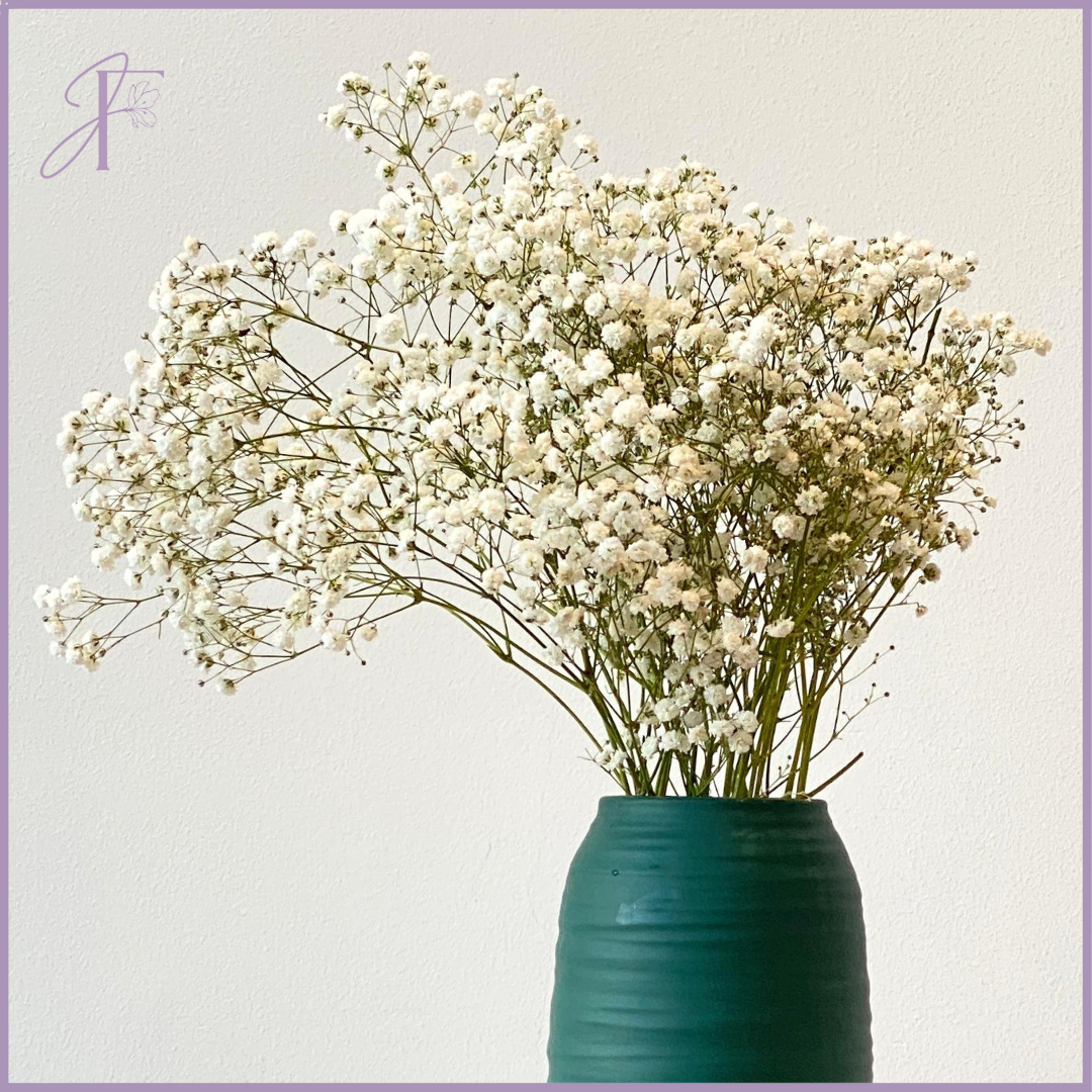 Fresh White Gypsophila Bunch (Per Bunch, Create Your Own Arrangement)