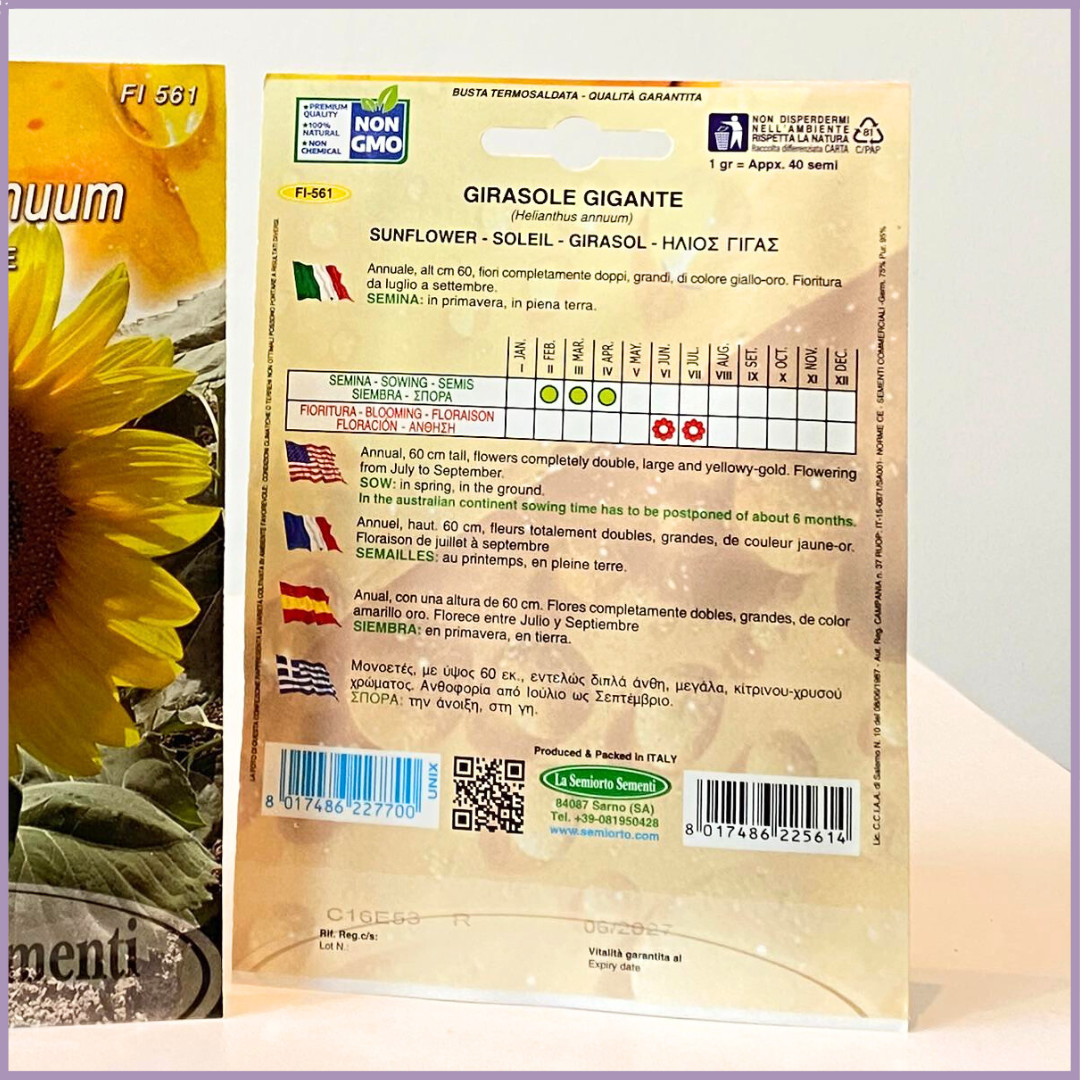 Plant Your Garden: Non-GMO Giant Sunflower Seeds