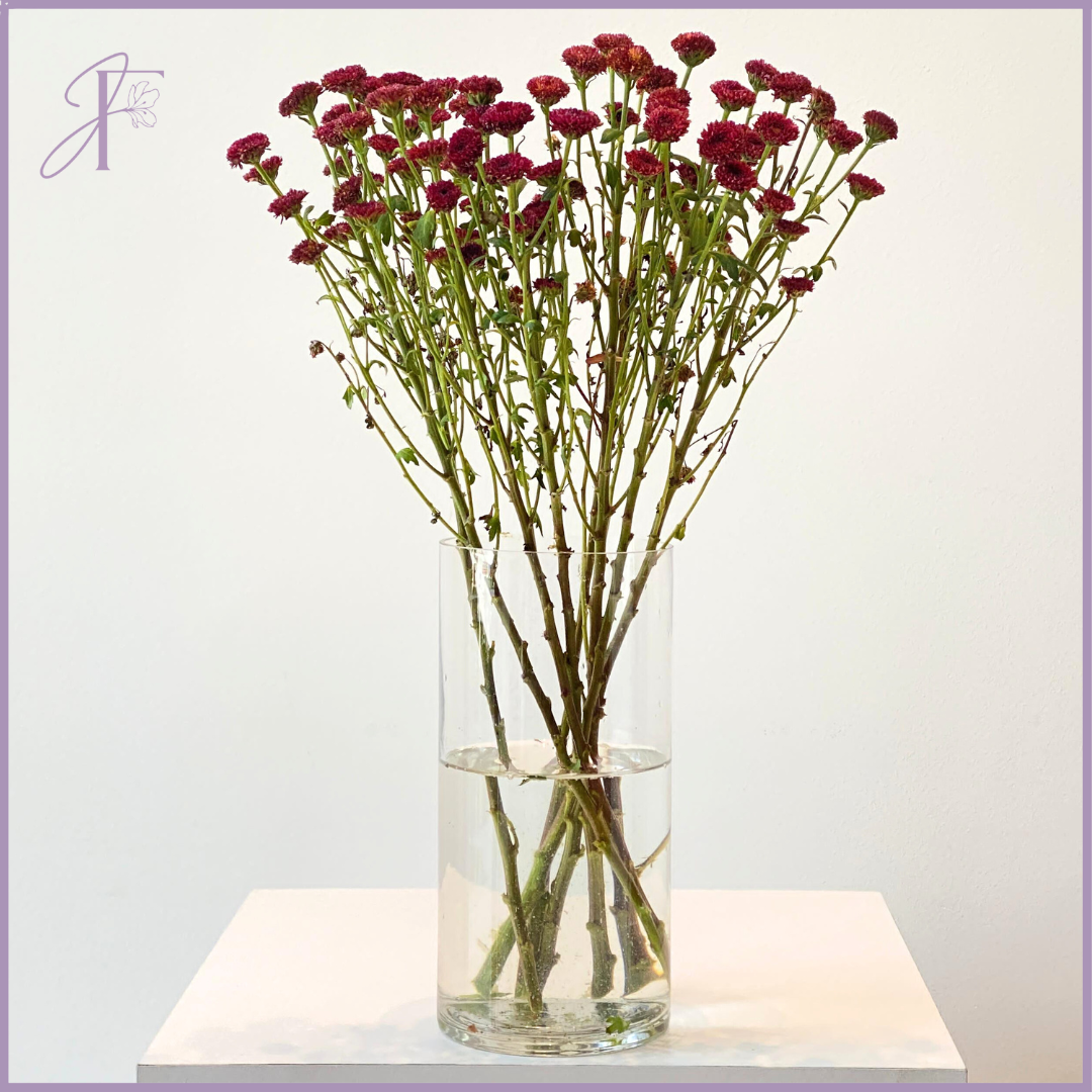 Maroon Button Mum Stem - Per 1 Stem - Create your own Arrangement - Vase Not Included