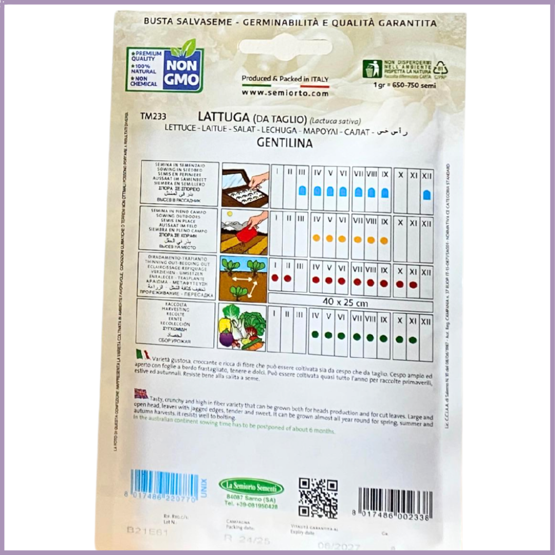 Non-GMO Cut-and-Come-Again Lettuce Seeds (Centifolia) - Grow in Bahrain