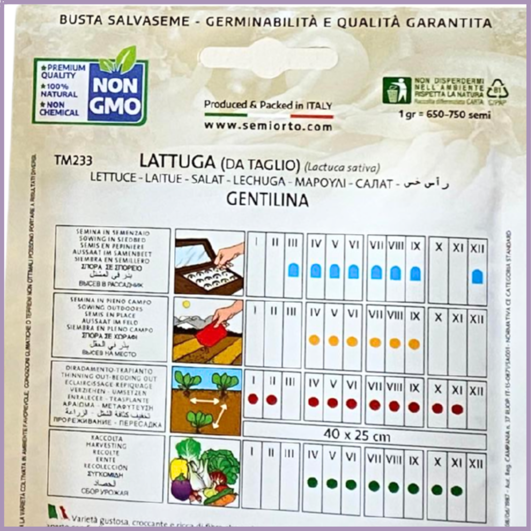 Non-GMO Cut-and-Come-Again Lettuce Seeds (Centifolia) - Grow in Bahrain