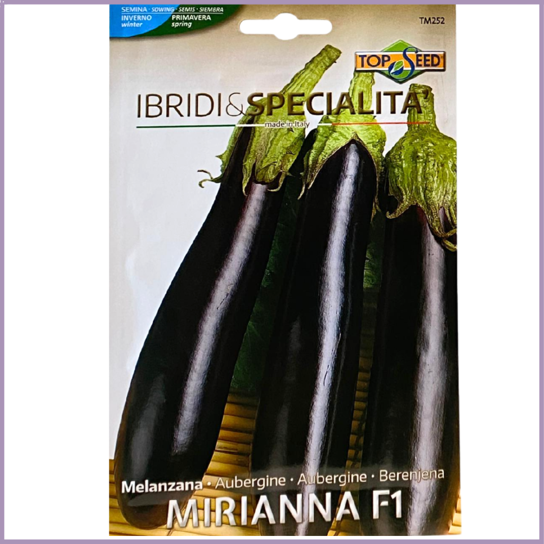 Non-GMO Eggplant Seeds (Mirianna F1) - Grow in Bahrain