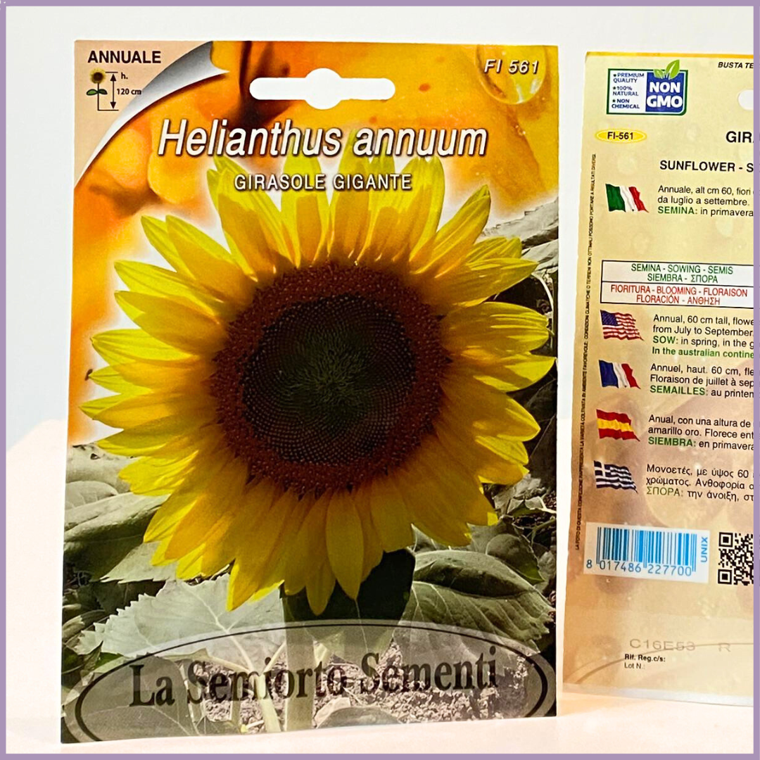 Plant Your Garden: Non-GMO Giant Sunflower Seeds