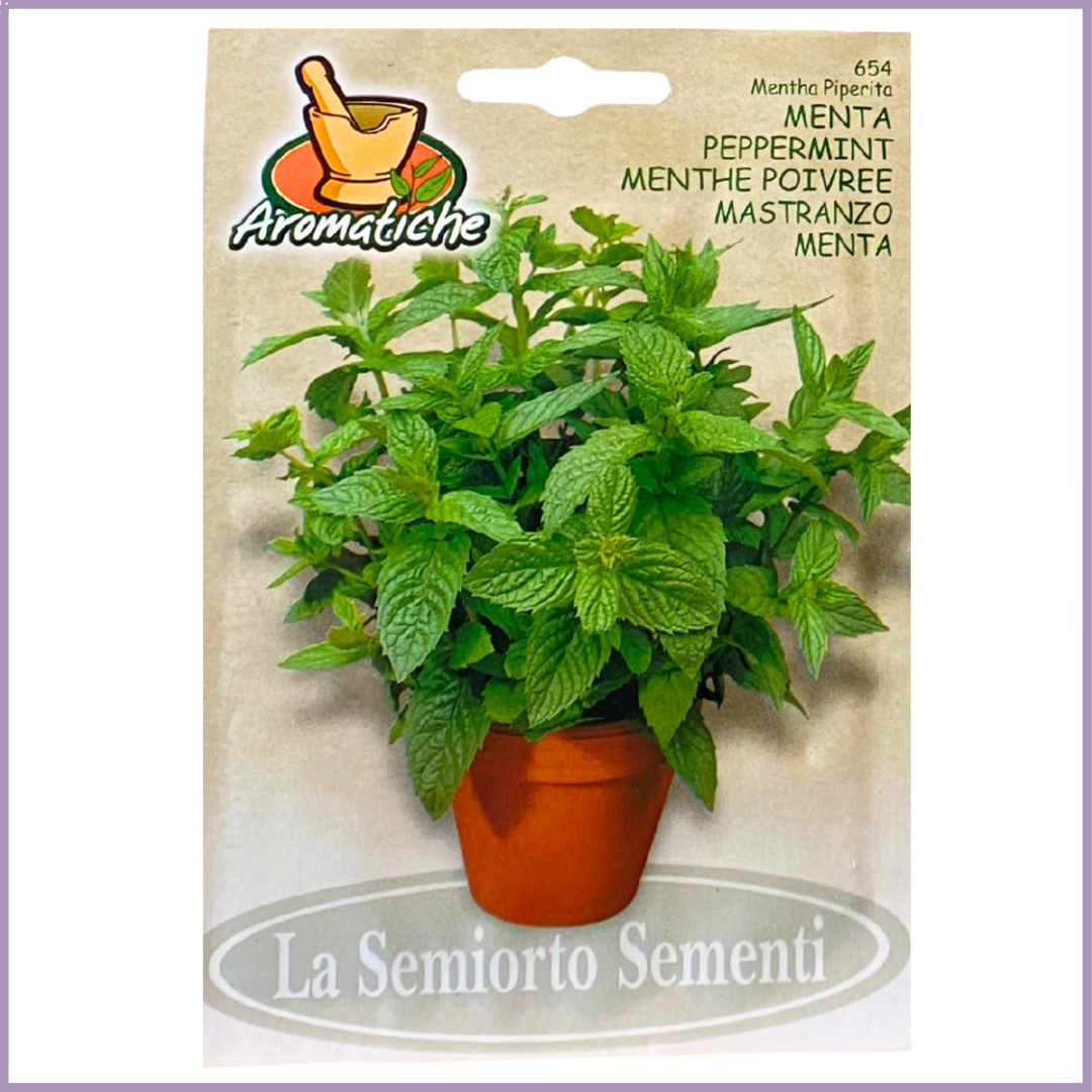 Non-GMO Mint Seeds (Peppermint) - Grow in Bahrain