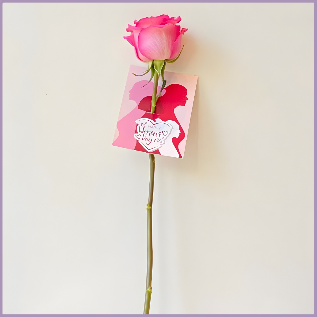 Single Pink Rose with Women's Day Card