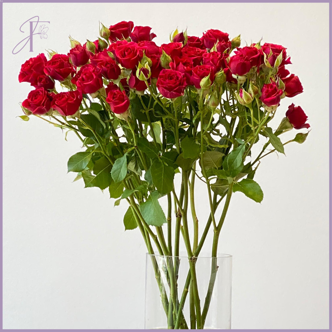 Red Spray Rose Stem - 1 Stem - Create your own Bouquet - Vase not included