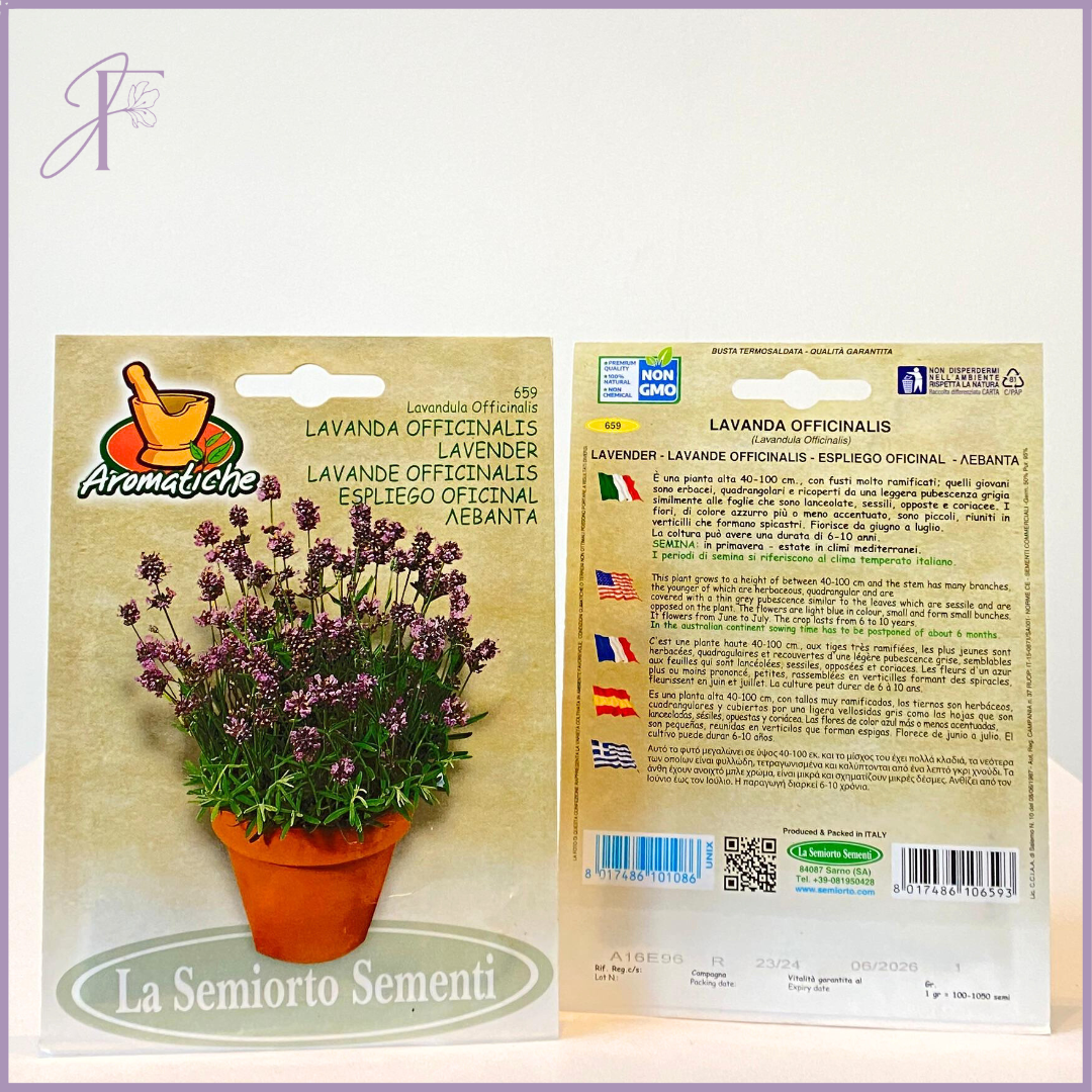Aromatiche Non-GMO Lavender Seeds - Grow in Bahrain