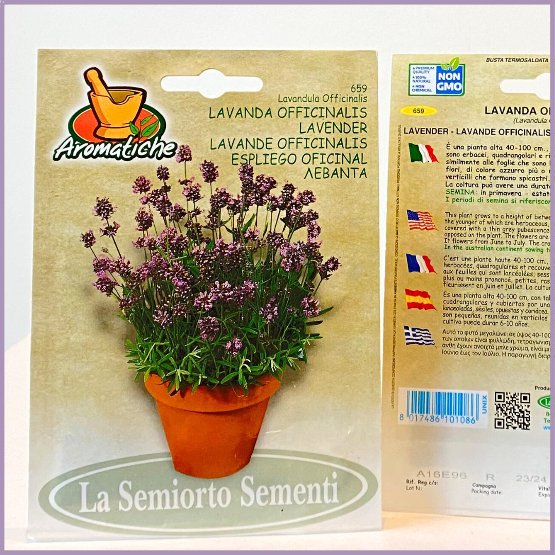 Aromatiche Non-GMO Lavender Seeds - Grow in Bahrain