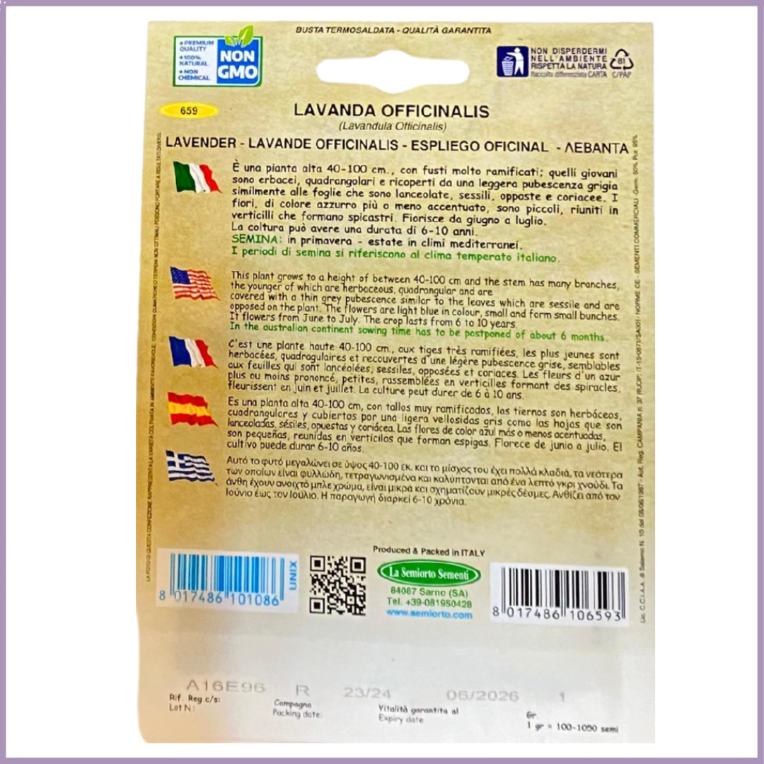 Aromatiche Non-GMO Lavender Seeds - Grow in Bahrain