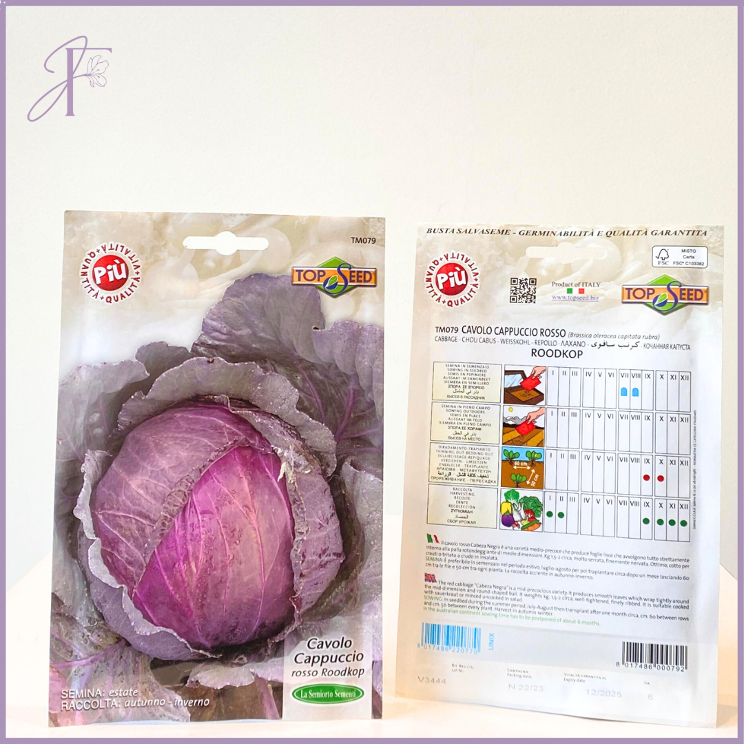 TOP SEED Roodkop Red Cabbage Seeds - Grow in Bahrain