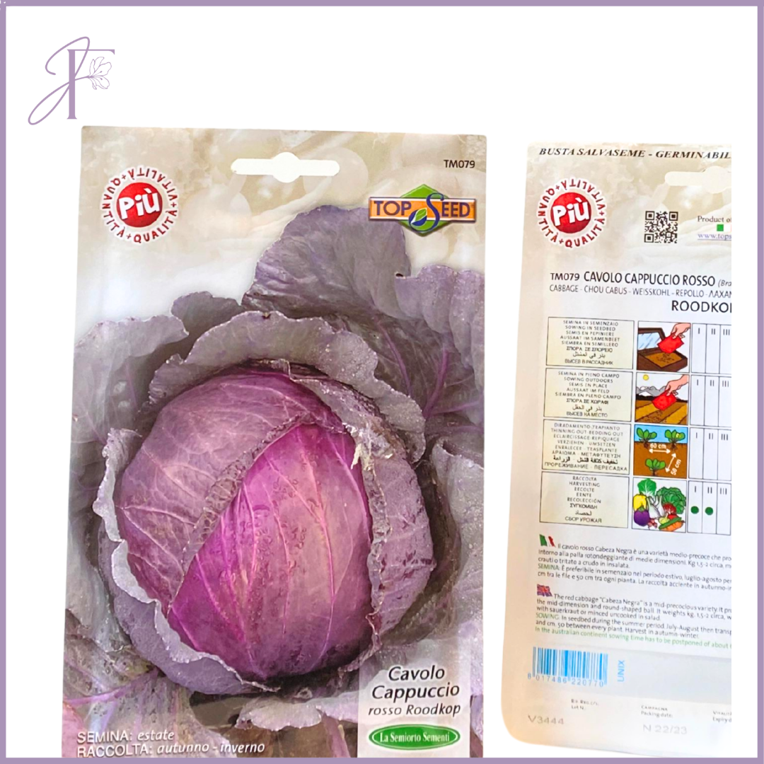 TOP SEED Roodkop Red Cabbage Seeds - Grow in Bahrain