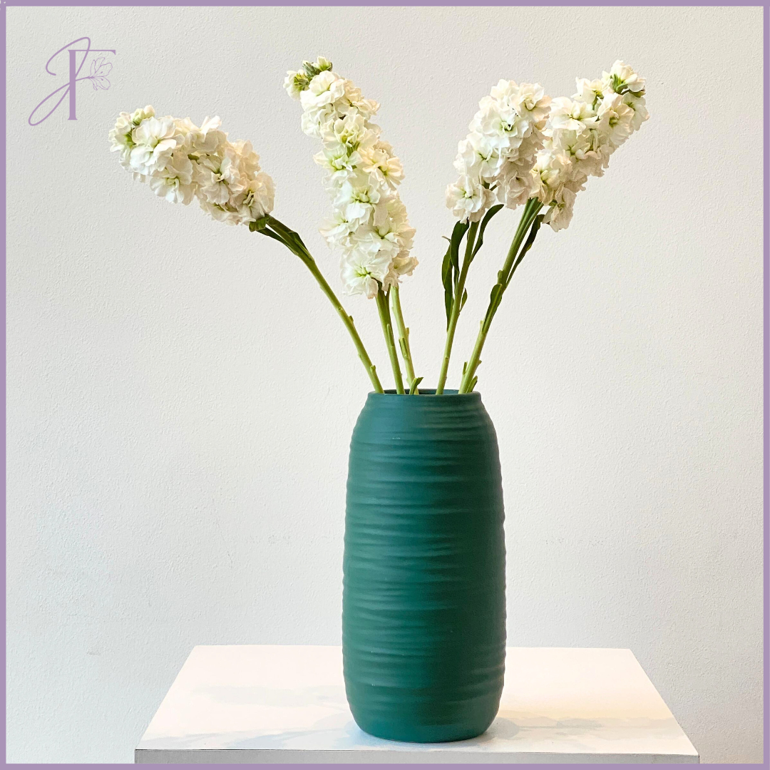 White Matthiola Stem - Sold per Stem - Create your own Bouquet - Vase not included