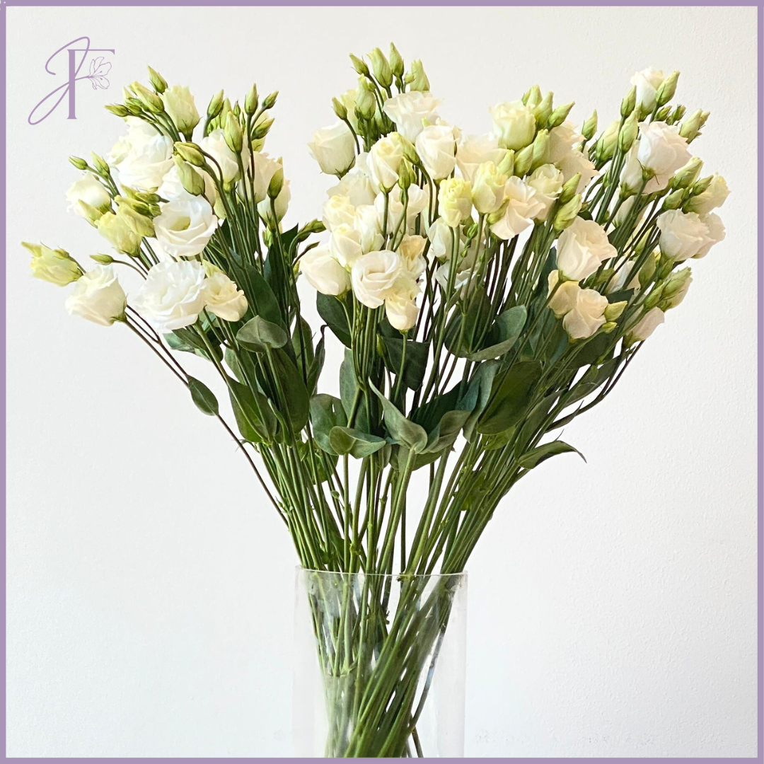Jude's White Lisianthus Stem (Single Stem) - Elegant & Versatile