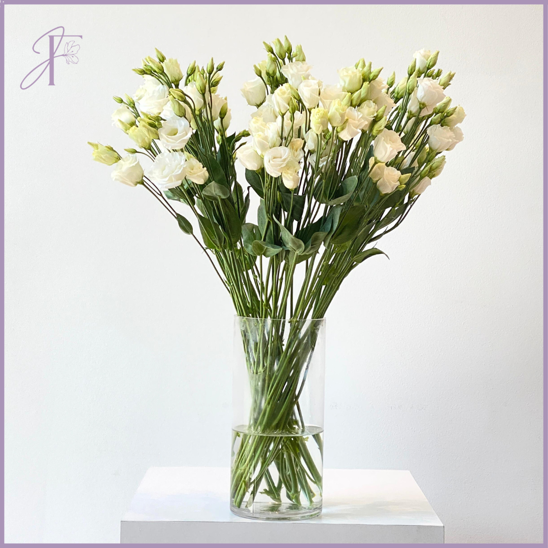 Jude's White Lisianthus Stem (Single Stem) - Elegant & Versatile