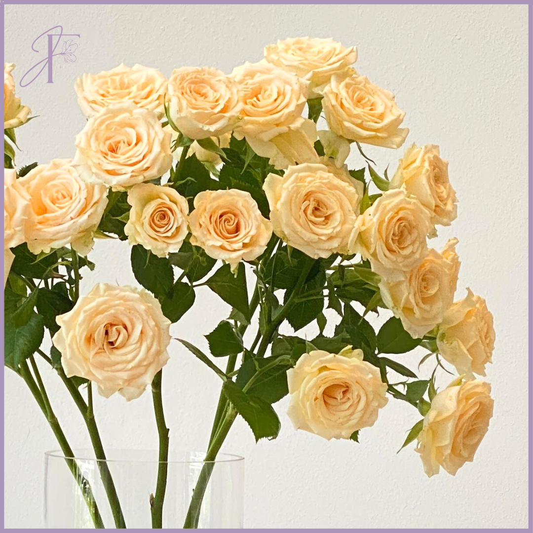 Yellowish Spray Rose Stem - 1 Stem - Create your own Bouquet