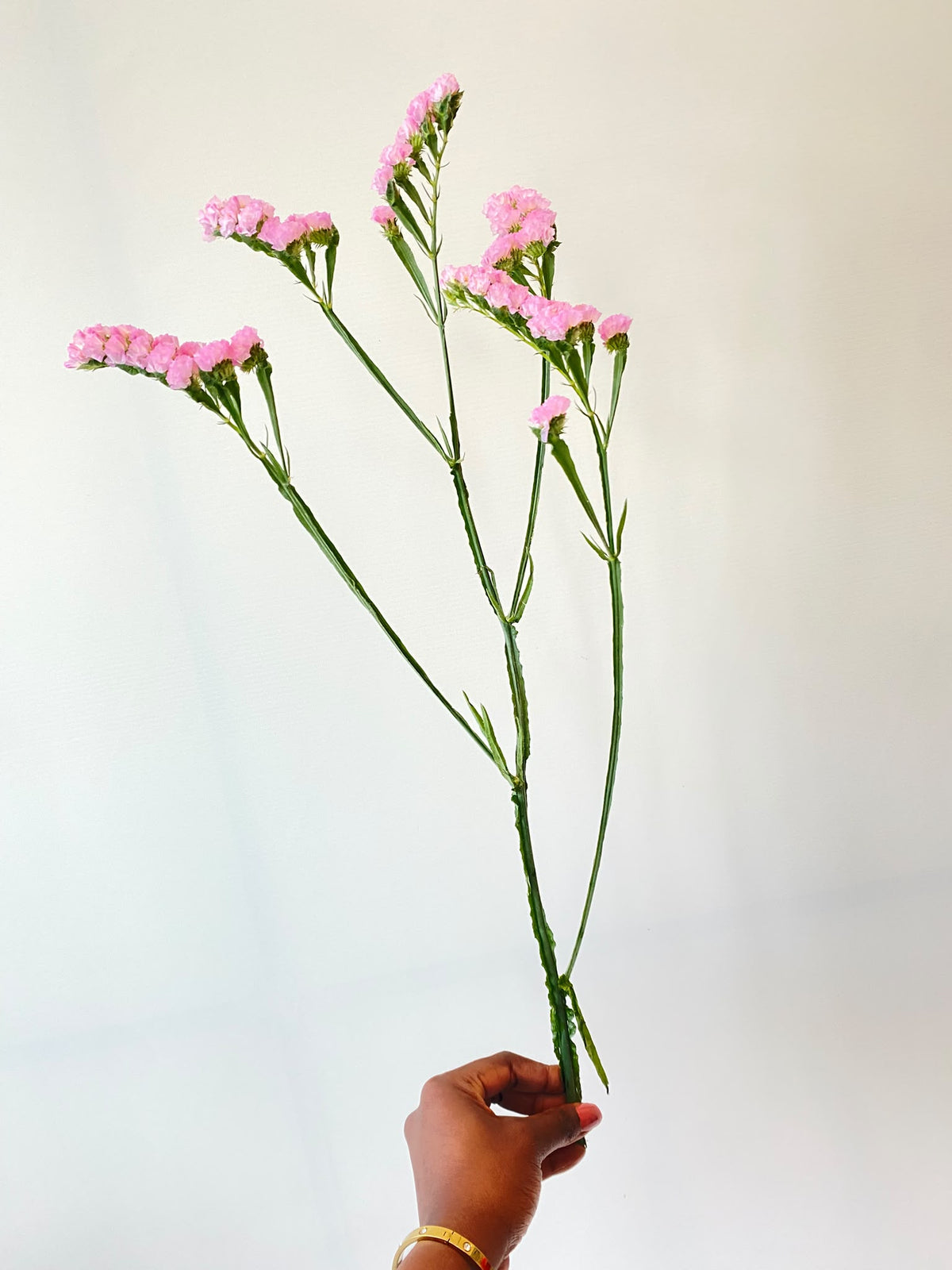 Fresh Pink Statice single stem for Build Your Own Bouquet by Jude Flowers Bahrain