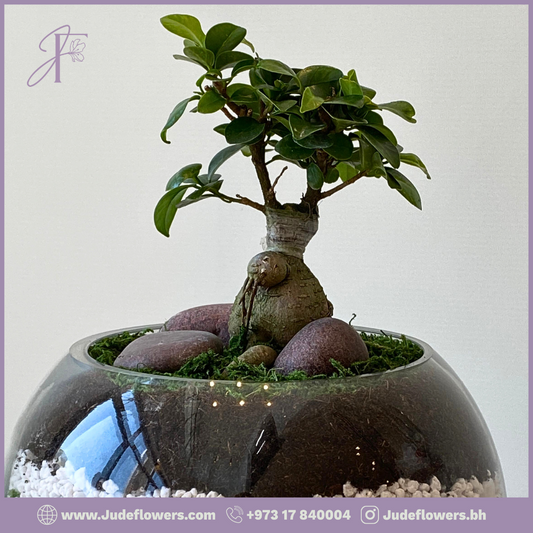 Bonsai Serenity Globe - عالم البونزاي