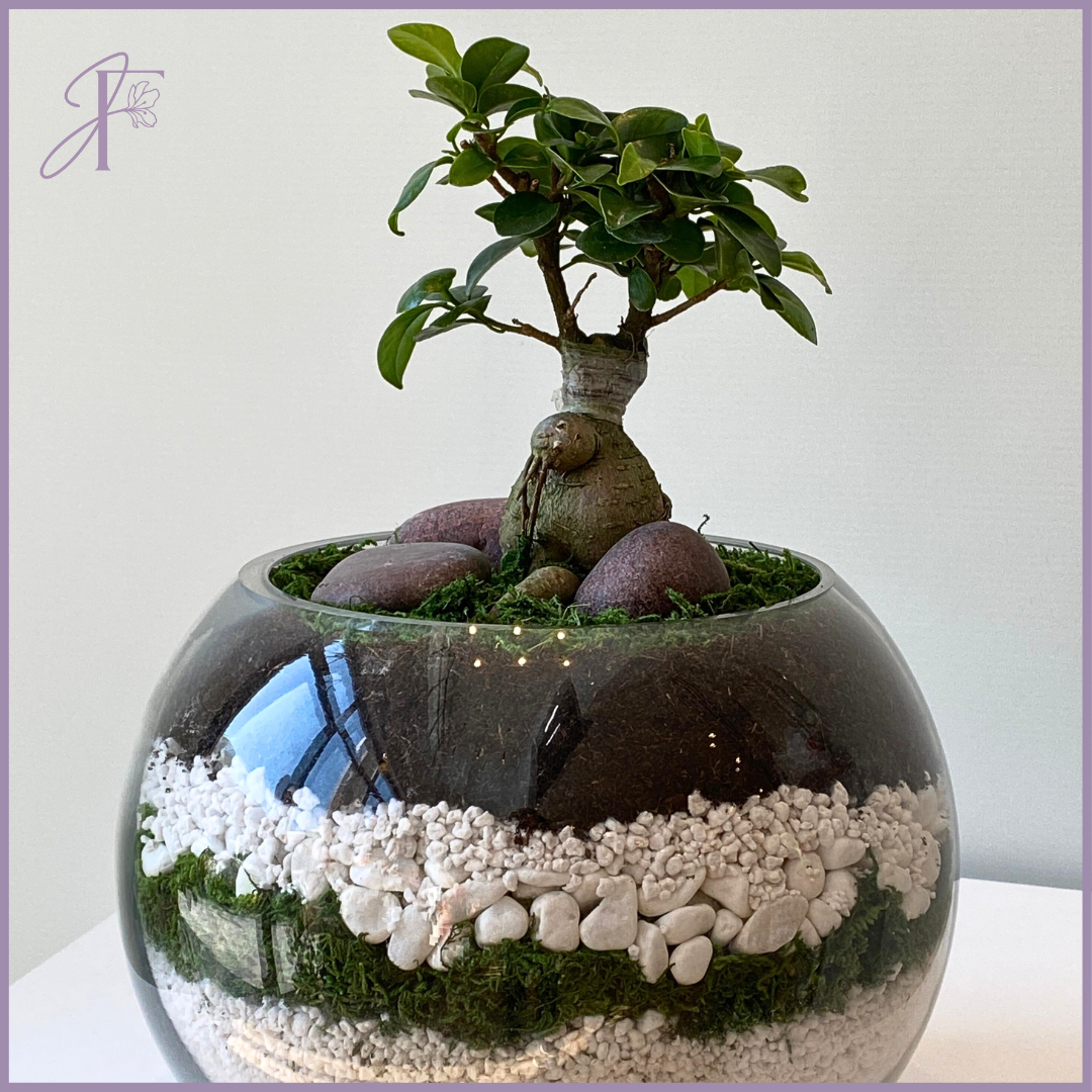 Bonsai Serenity Globe - عالم البونزاي