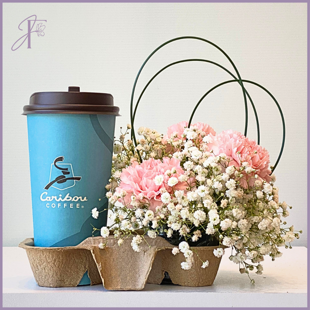 Caribou Coffee Carnation