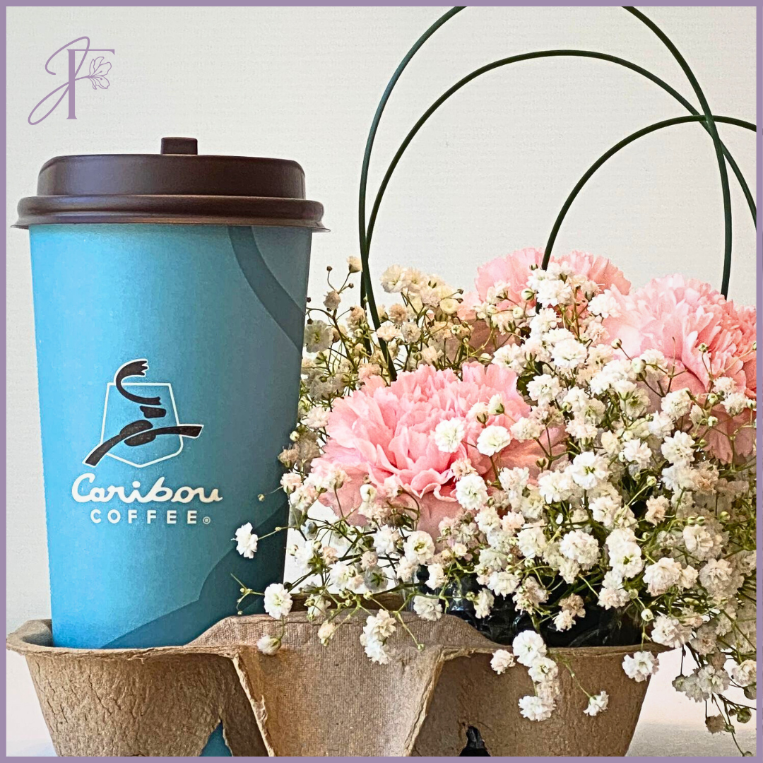 Caribou Coffee Carnation