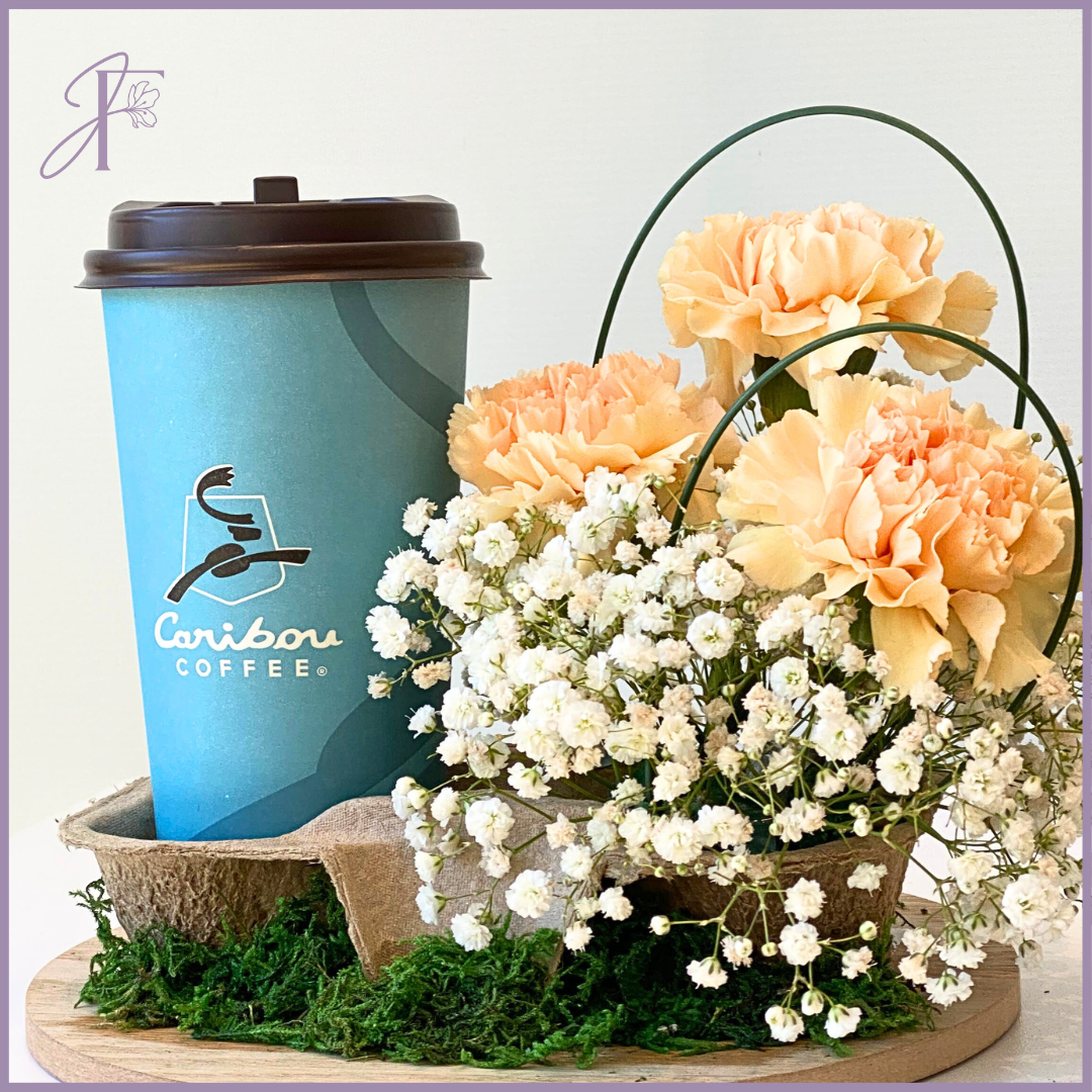 Caribou Coffee Carnation