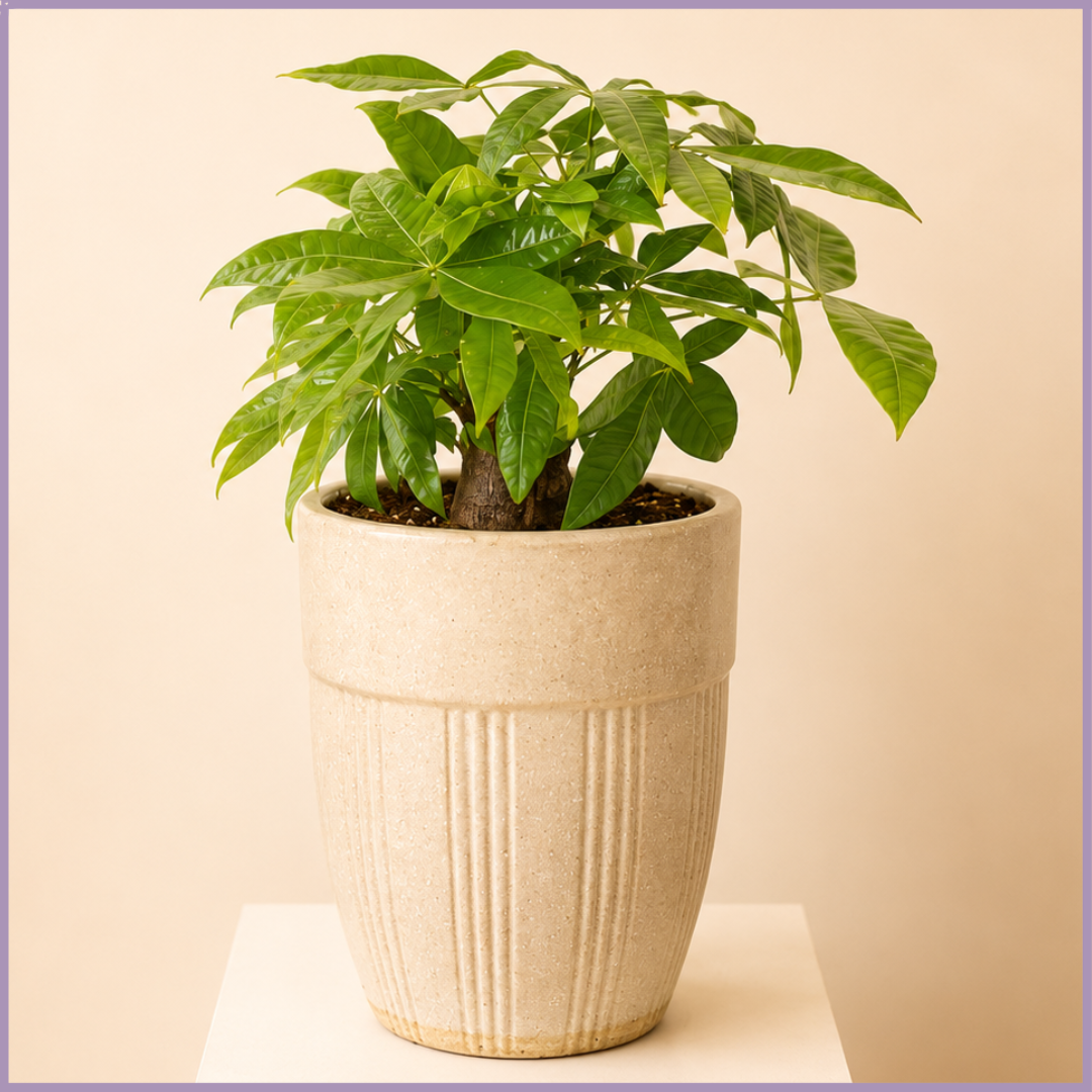 Emerald Prosperity Money Tree
