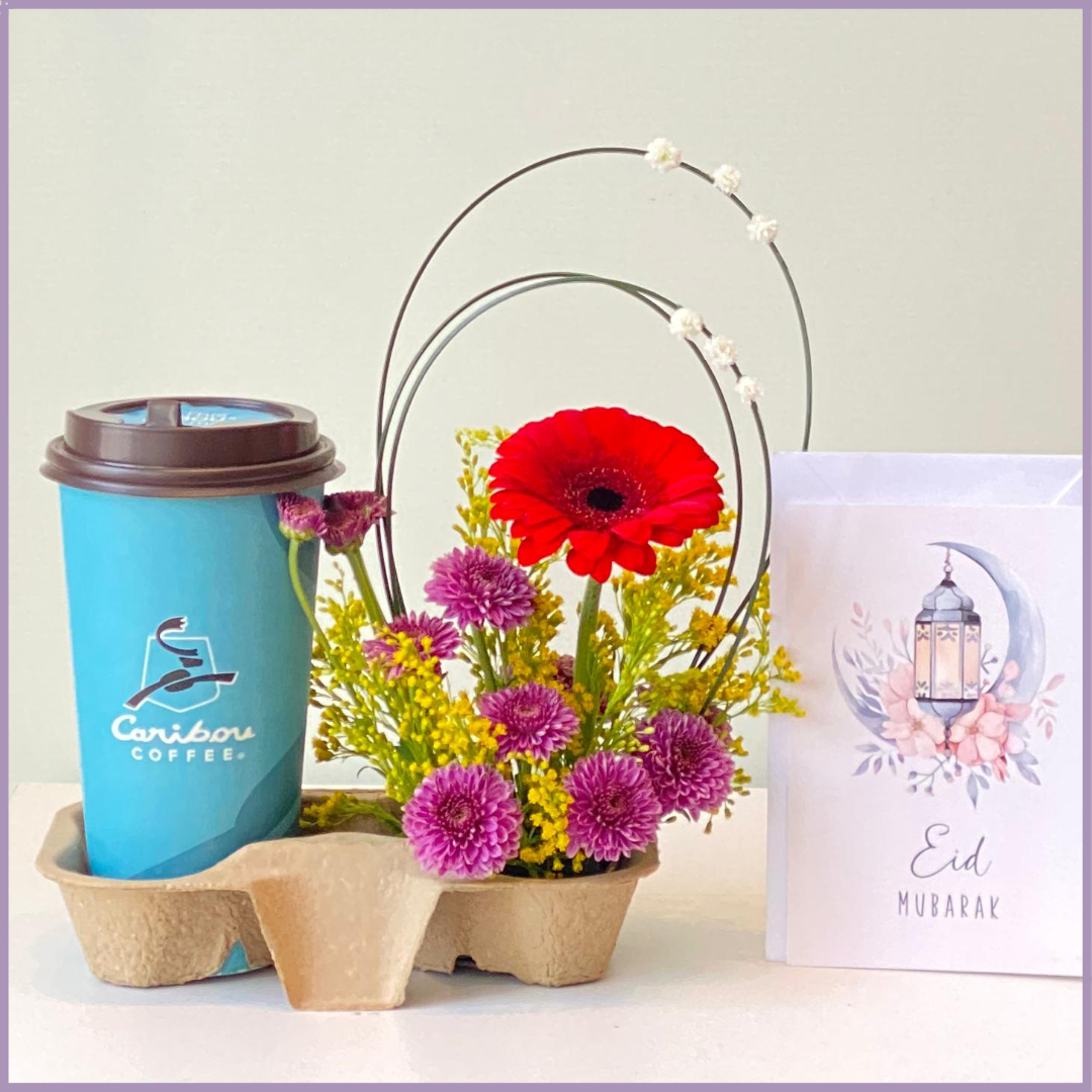 Red Gerbera Caribou Coffee Duo