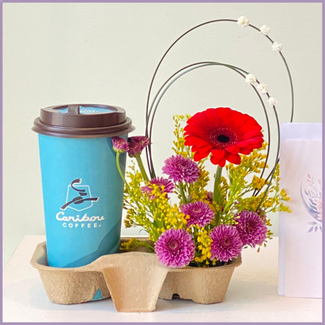 Red Gerbera Caribou Coffee Duo