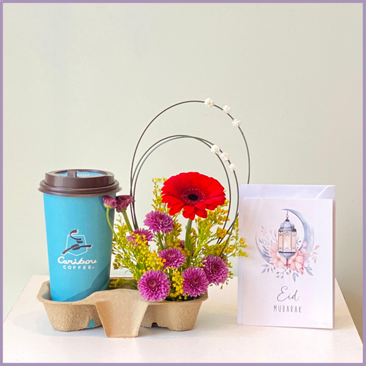 Red Gerbera Caribou Coffee Duo