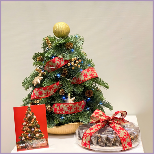 Festive Tree & Belgian Chocolates Gift Set by Jude Flowers