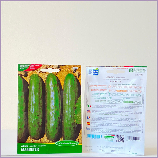 Cucumber Marketer NON GMO Seeds - 1 Pack