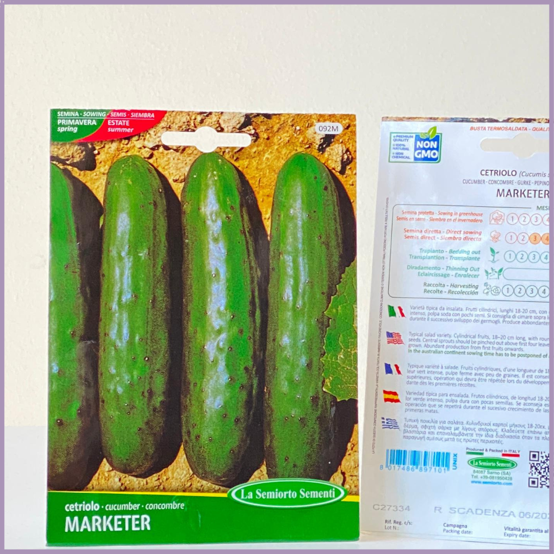 Cucumber Marketer NON GMO Seeds - 1 Pack