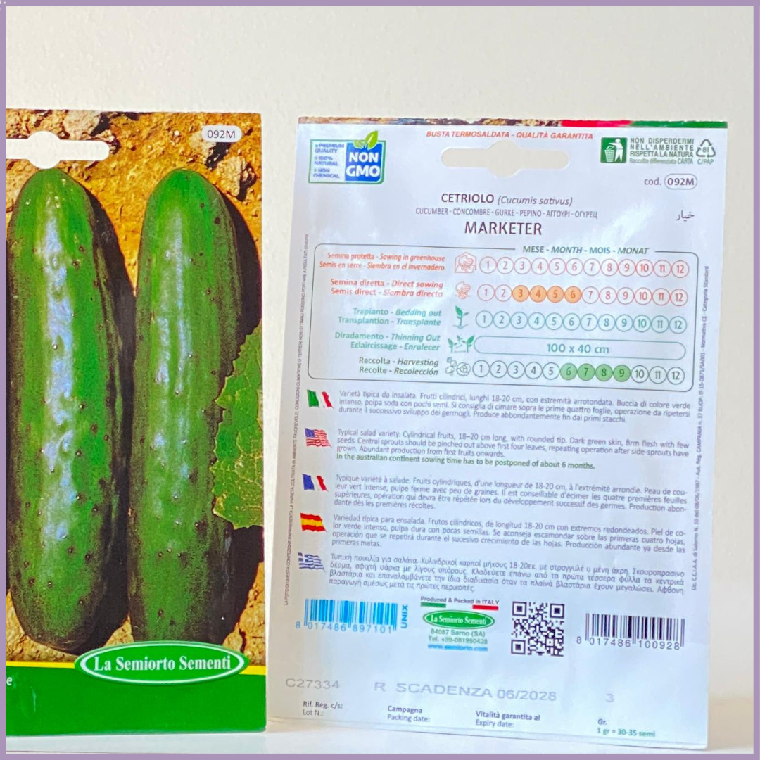 Cucumber Marketer NON GMO Seeds - 1 Pack