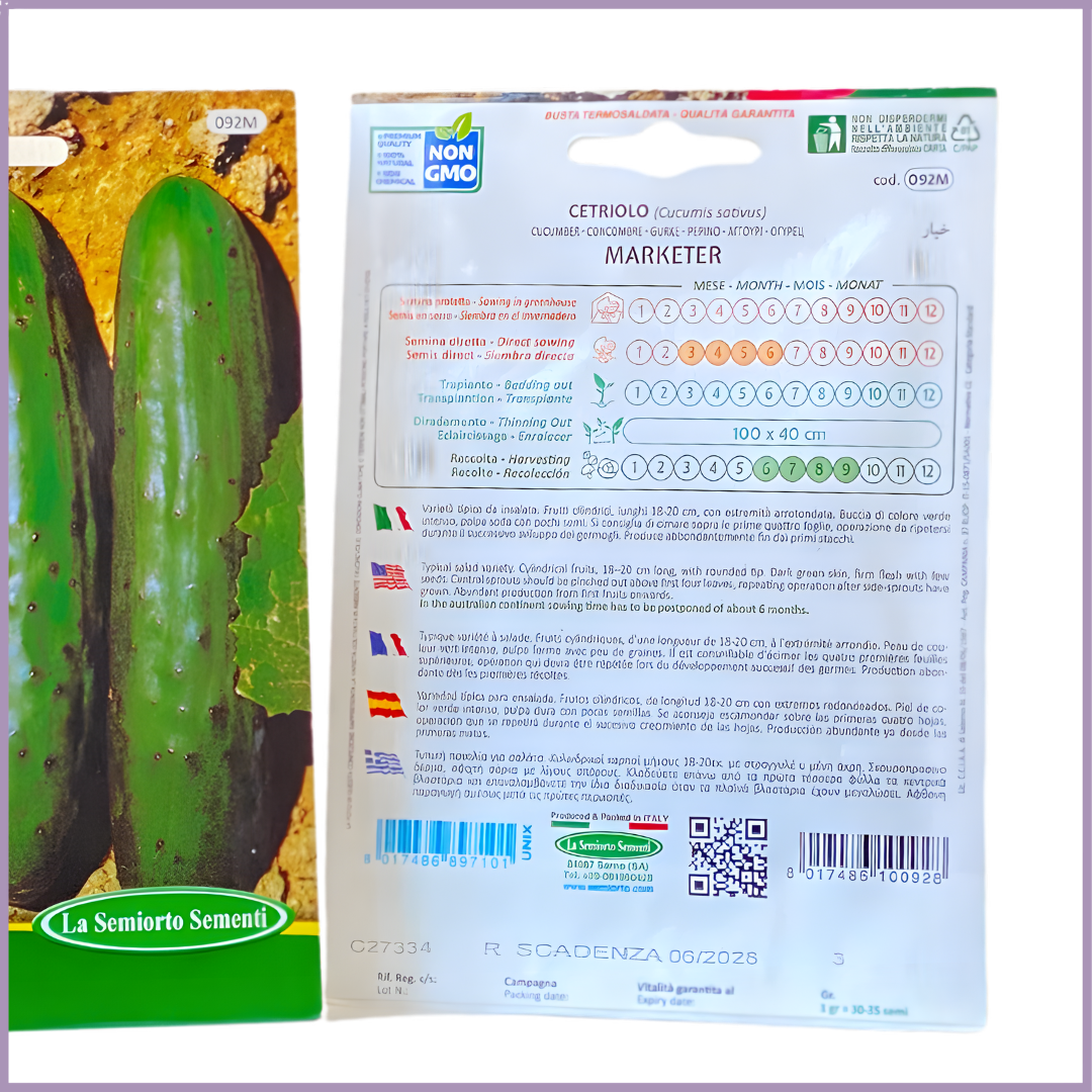 Cucumber Marketer NON GMO Seeds - 1 Pack